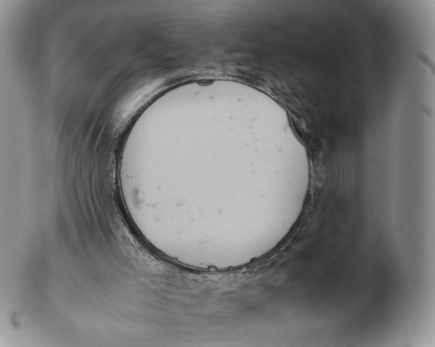 X0000103140005200809121804