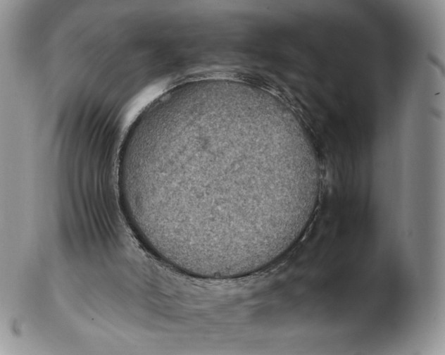 X0000103140006200809121804