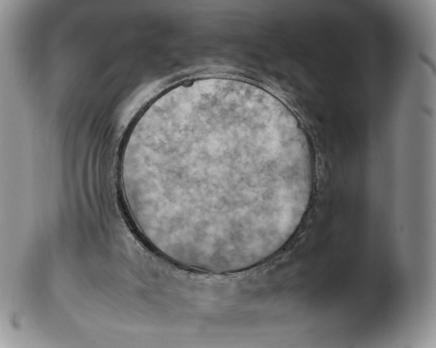 X0000103140007200809121804