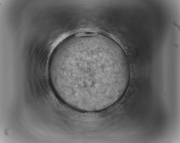 X0000103140008200809121804