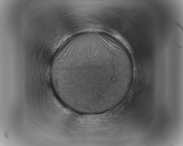 X0000103140009200809121804