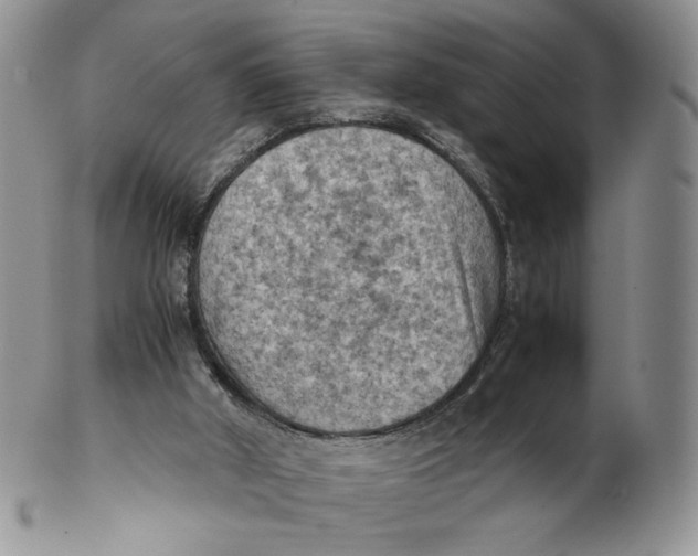 X0000103140010200809121804