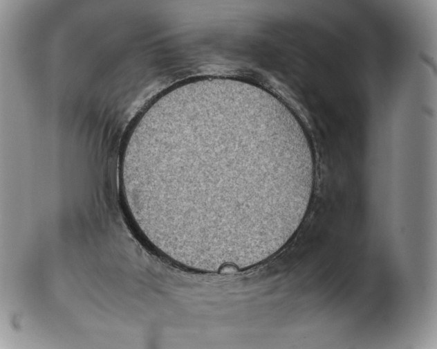 X0000103140011200809121804