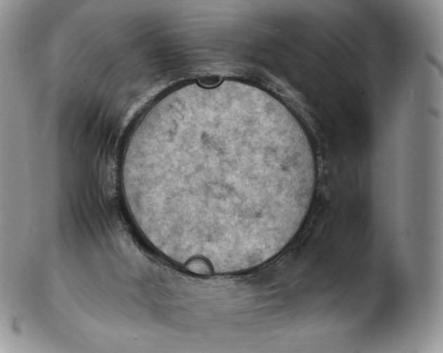 X0000103140012200809121804