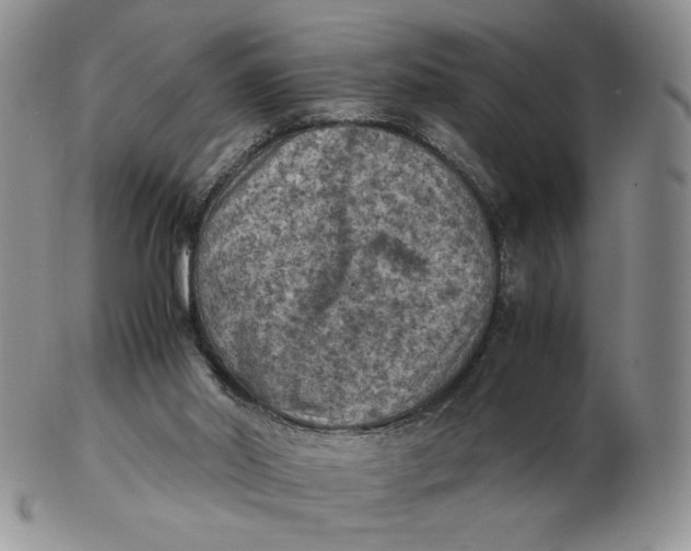 X0000103140014200809121804