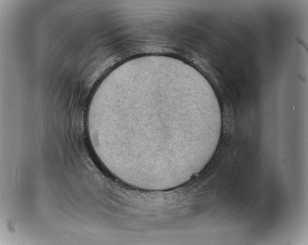 X0000103140015200809121804