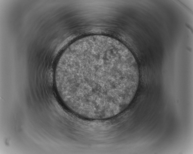 X0000103140016200809121804