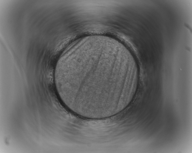 X0000103140017200809121804