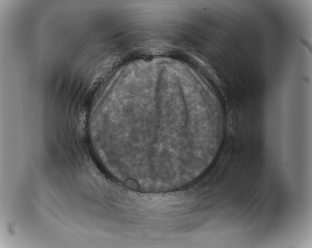 X0000103140018200809121804