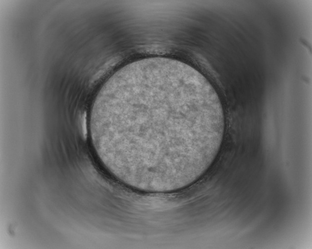 X0000103140020200809121804