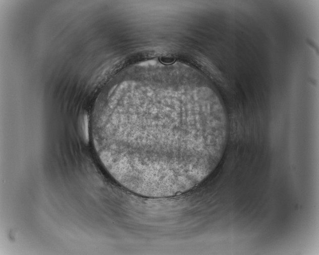 X0000103140022200809121804