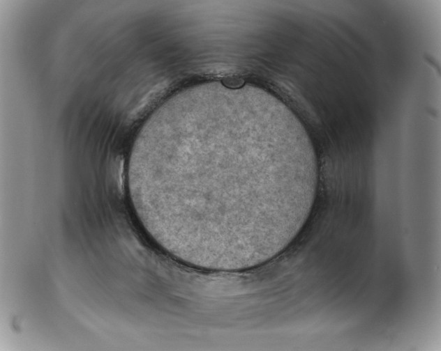 X0000103140024200809121804