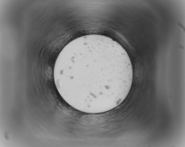 X0000103140025200809121804