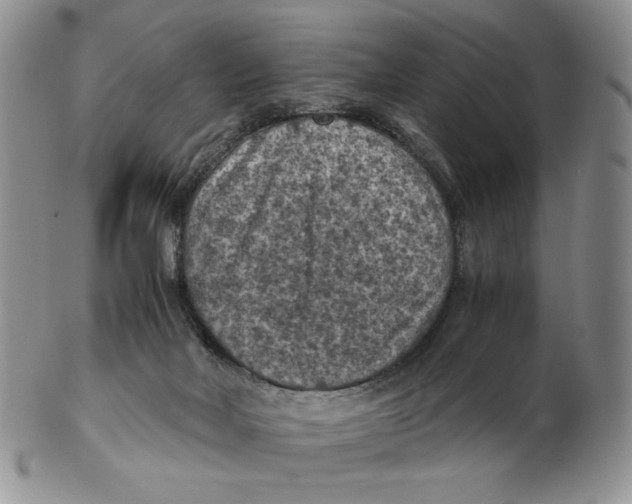 X0000103140026200809121804