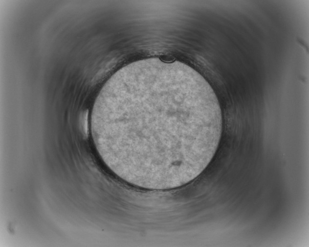 X0000103140028200809121804