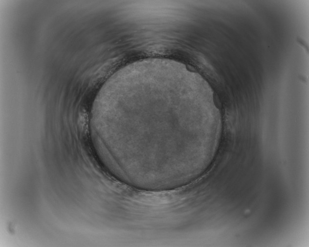 X0000103140029200809121804