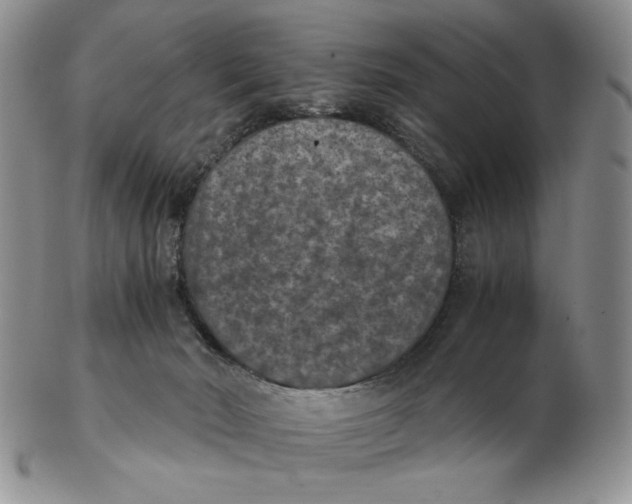 X0000103140030200809121804