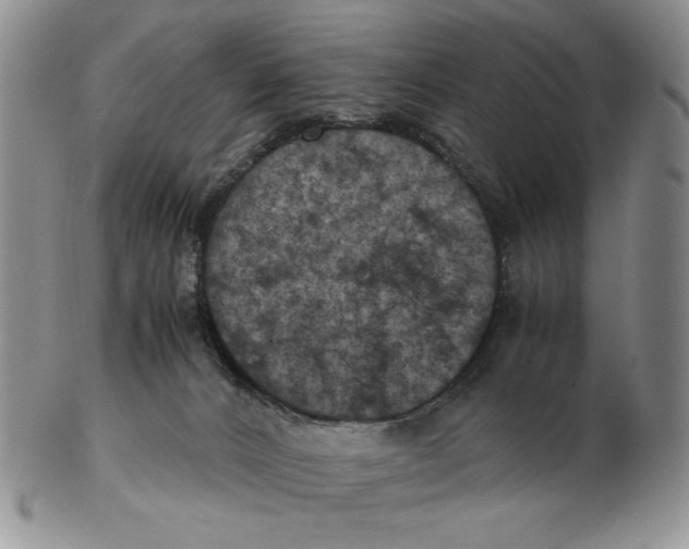 X0000103140032200809121804