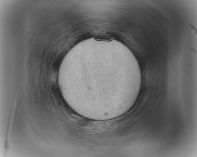 X0000103140033200809121804