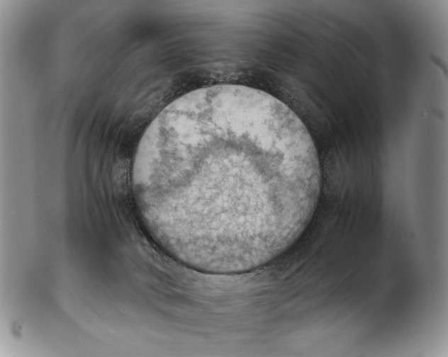 X0000103140034200809121804