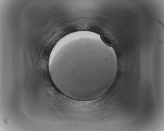 X0000103140035200809121804