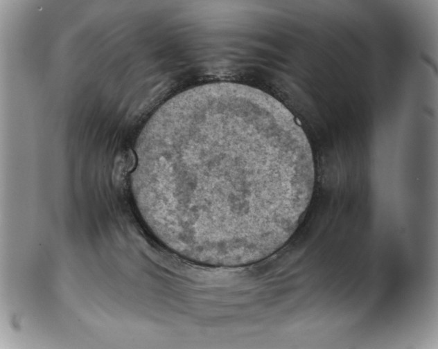 X0000103140036200809121804