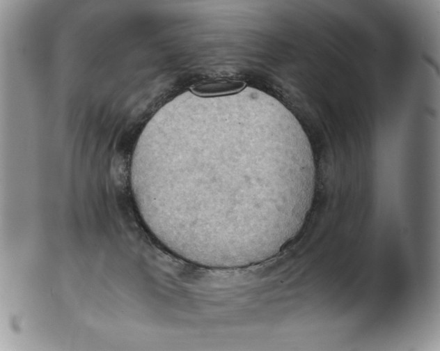 X0000103140037200809121804