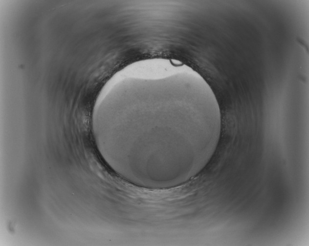 X0000103140039200809121803