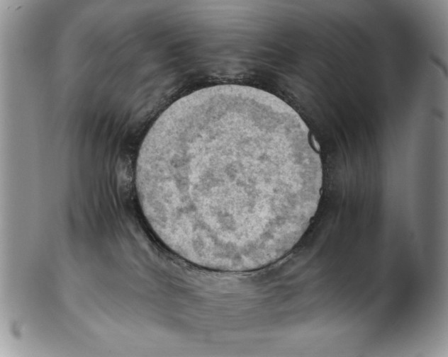 X0000103140040200809121803