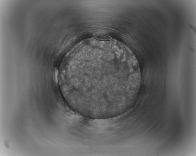 X0000103140041200809121803