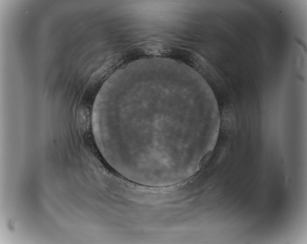 X0000103140043200809121803