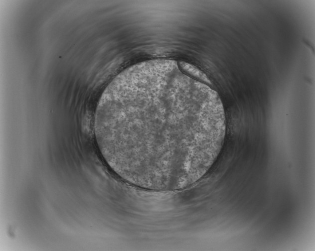 X0000103140044200809121803