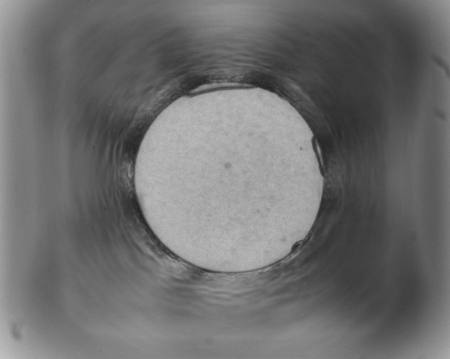 X0000103140045200809121803