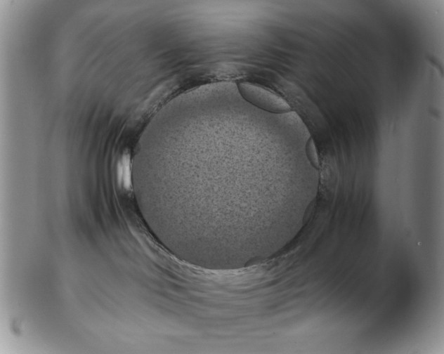 X0000103140046200809121803