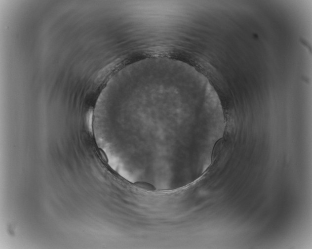 X0000103140047200809121803