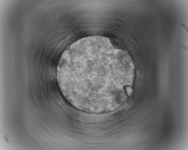 X0000103140048200809121803