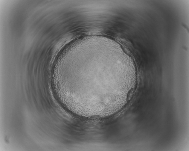 X0000103140049200809121803