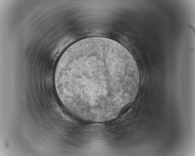 X0000103140050200809121803