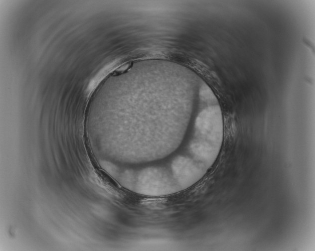 X0000103140051200809121803