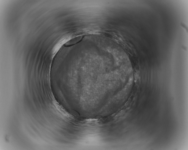 X0000103140052200809121803