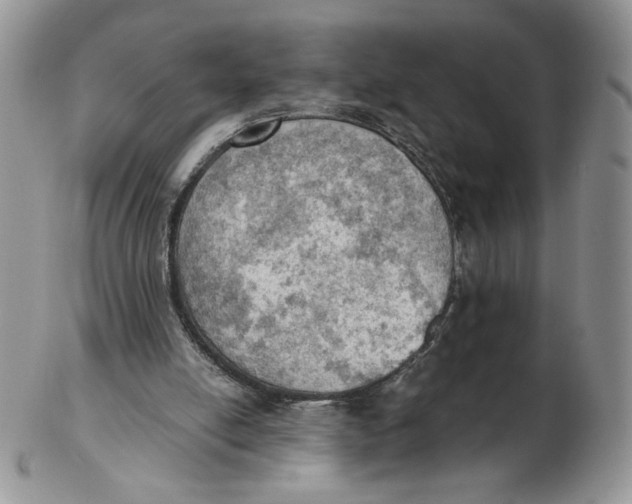 X0000103140054200809121803