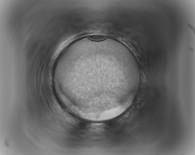 X0000103140055200809121803