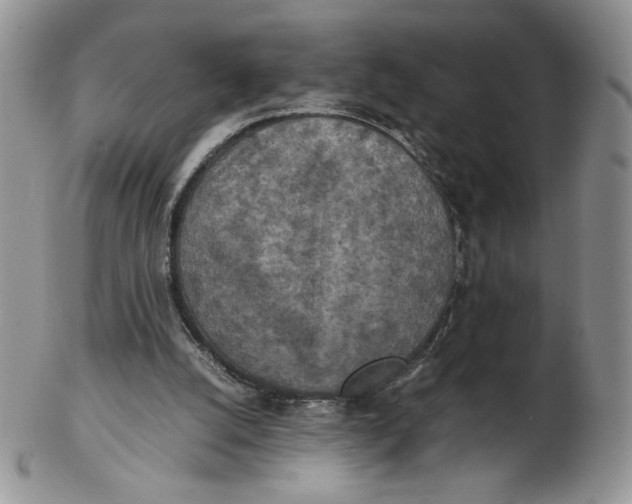 X0000103140056200809121803