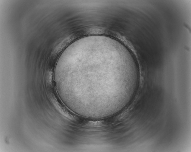 X0000103140057200809121803