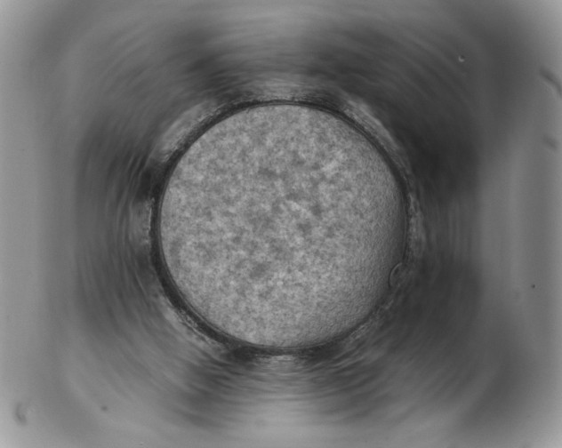 X0000103140058200809121803