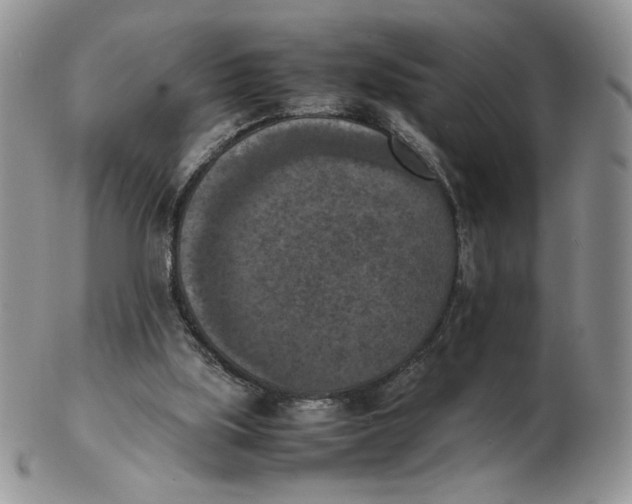 X0000103140059200809121803