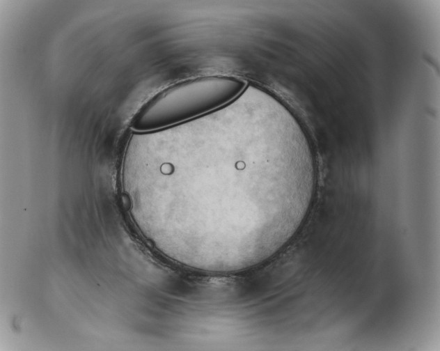 X0000103140060200809121803