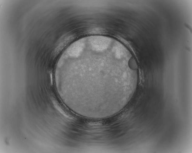 X0000103140061200809121803