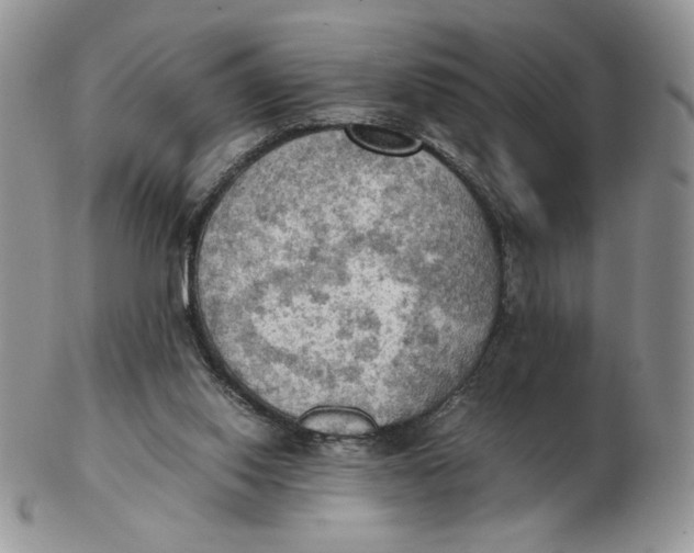 X0000103140062200809121803