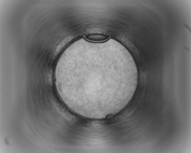 X0000103140064200809121803